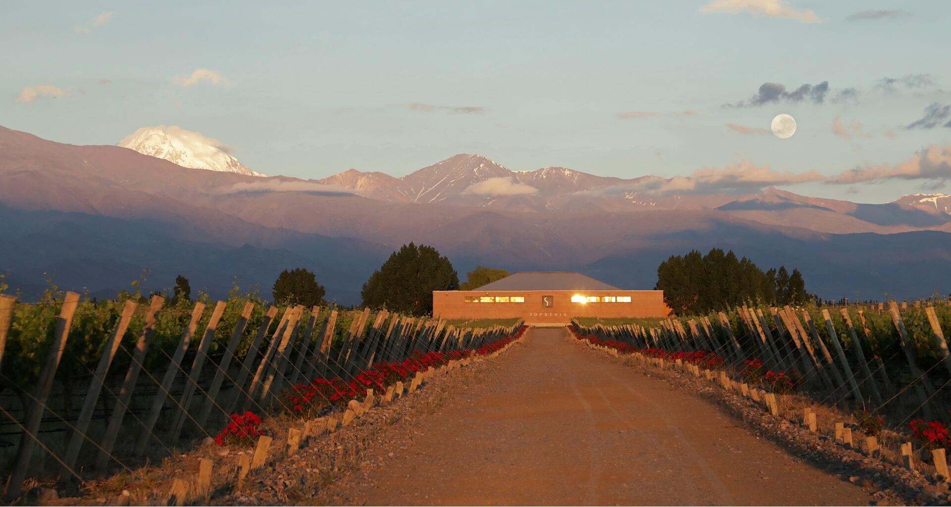 Finca Sophenia Cover Image