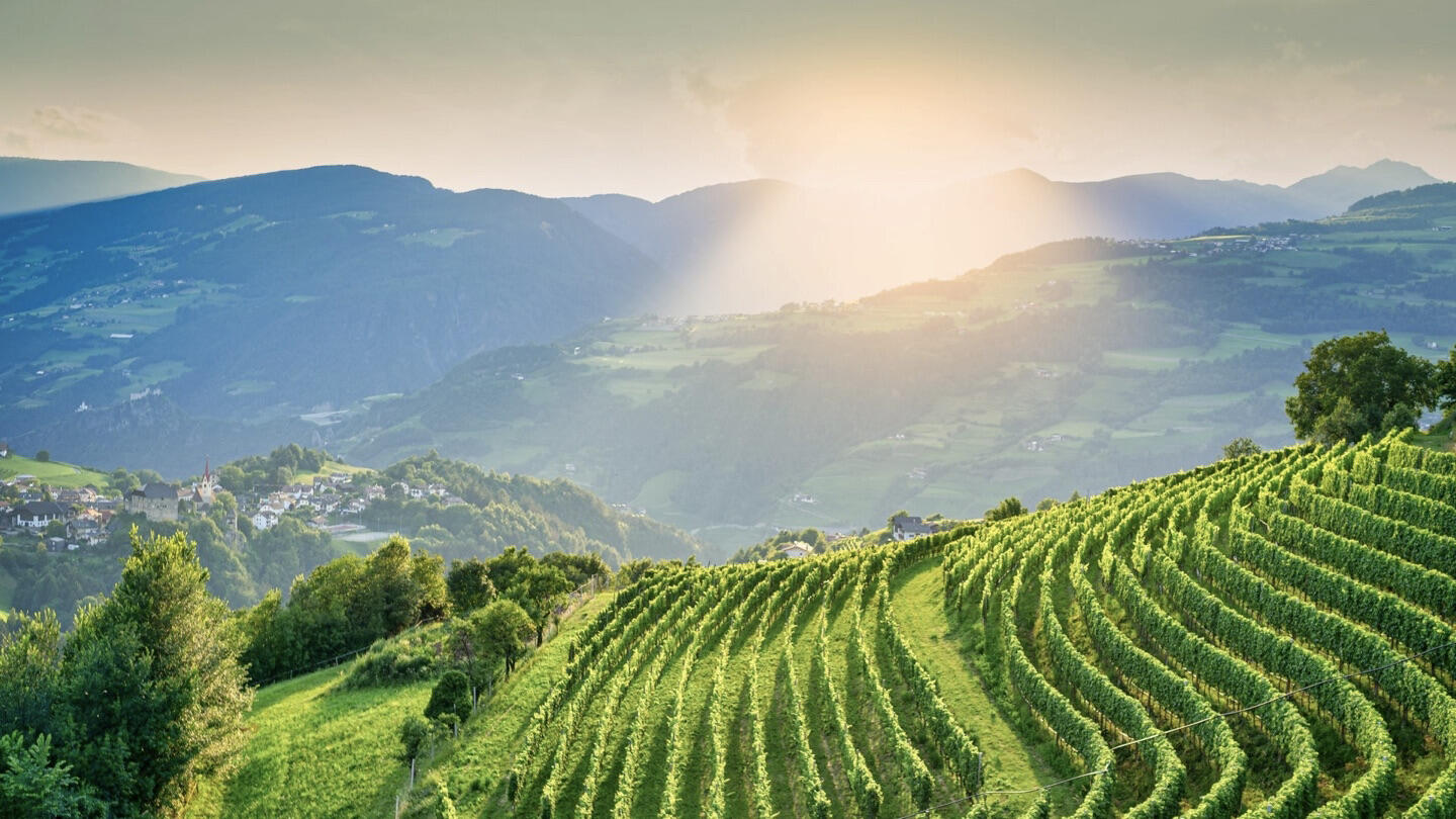 Cantina Valle Isarco Cover Image
