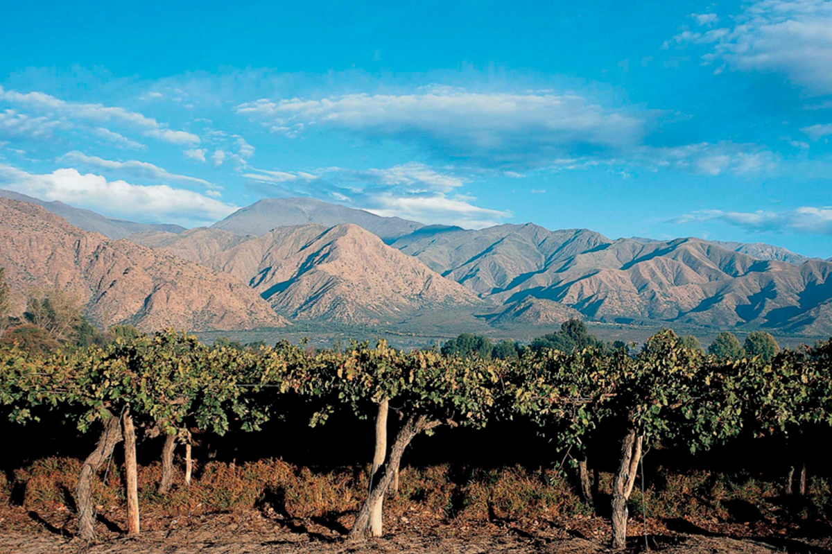 Bodegas La Rosa Cover Image