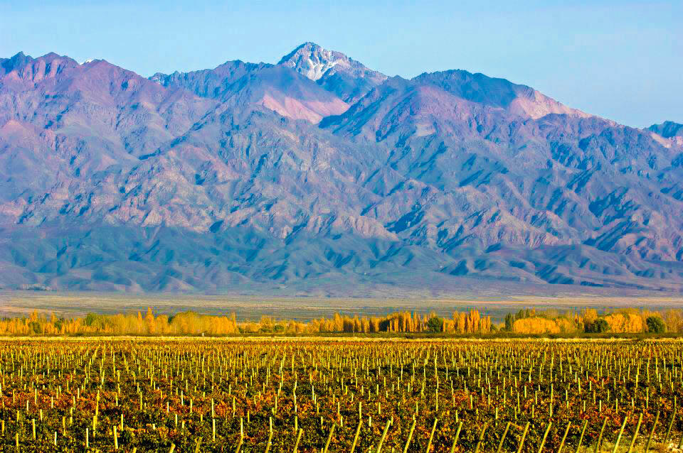 Finca Piedras Andinas Cover Image