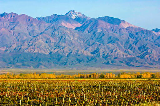 Finca Piedras Andinas Image