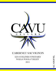 CAVU Cellars Cabernet Sauvignon Bottle Preview