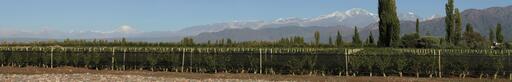 Casta del Sur Image