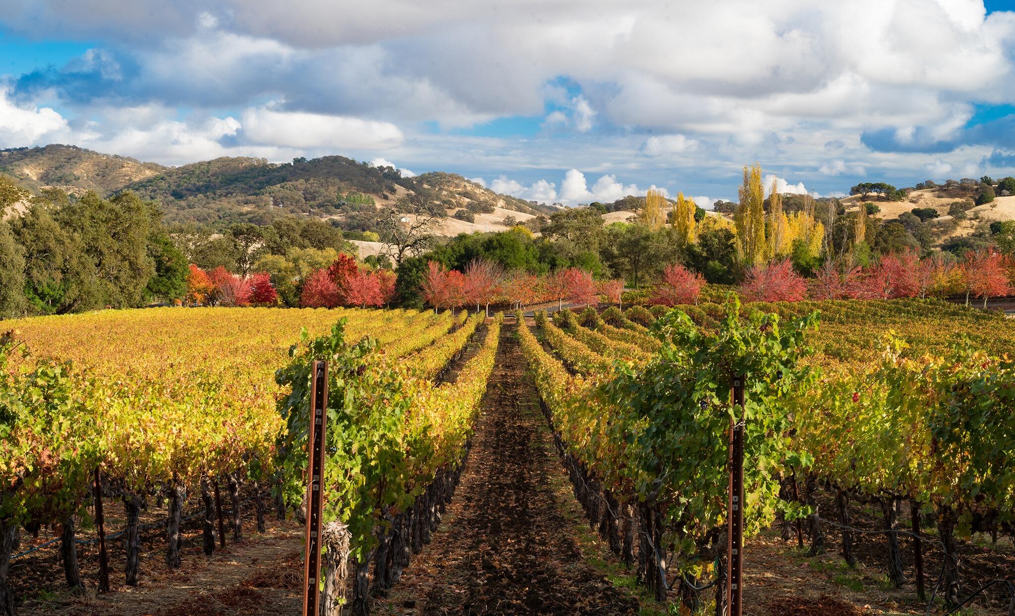 Hestan Vineyards Cover Image